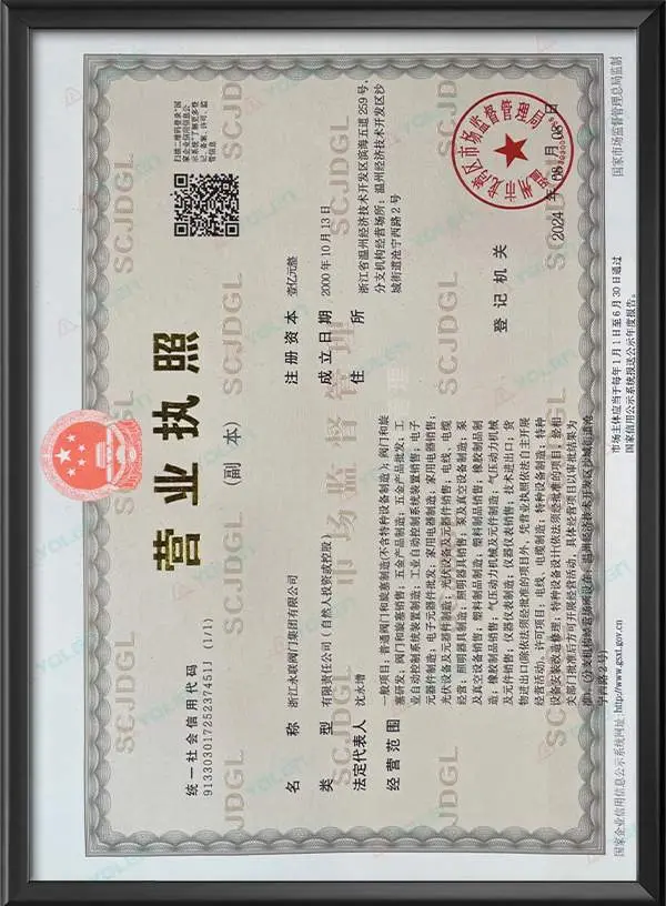Business License