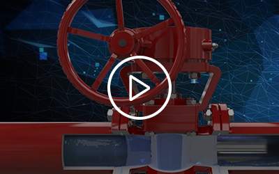 Plug valve