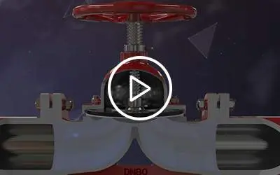 Diaphragm valve