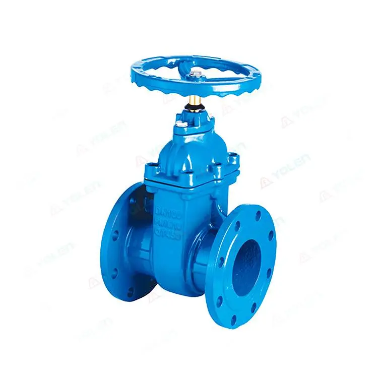 Protective concealed stem gate valve