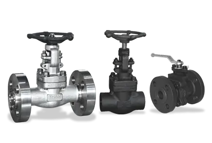 Forged steel valve series