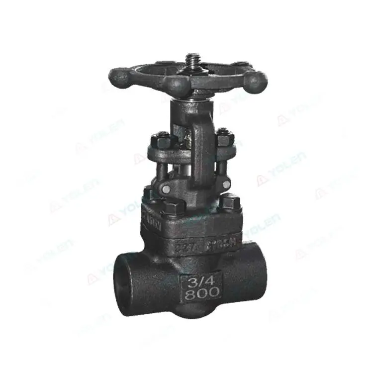 Forged steel valve