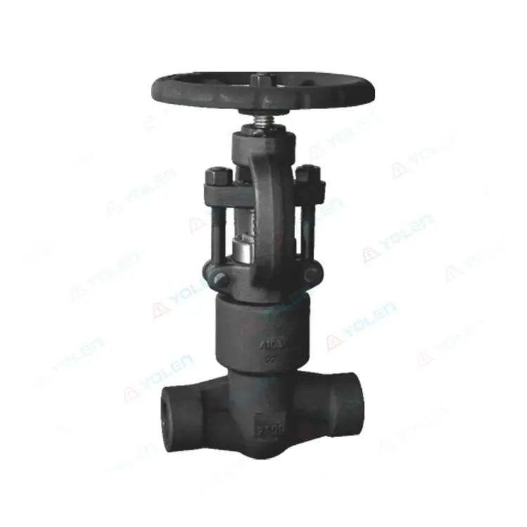 Forged steel valve
