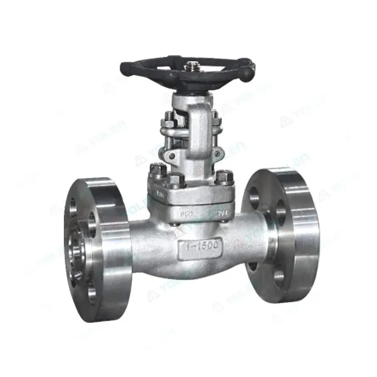 Forged steel valve