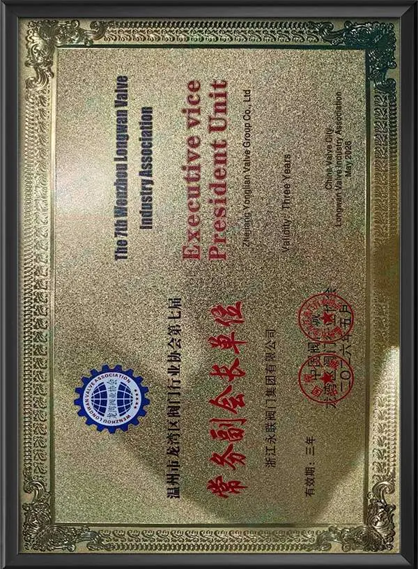 The 7th Vice-Chairman Unit of the Valves Industry Association of Longwan District, Wenzhou City